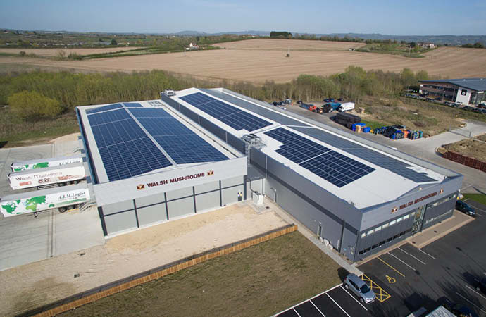 painéis solares intalados em telhado de indústria